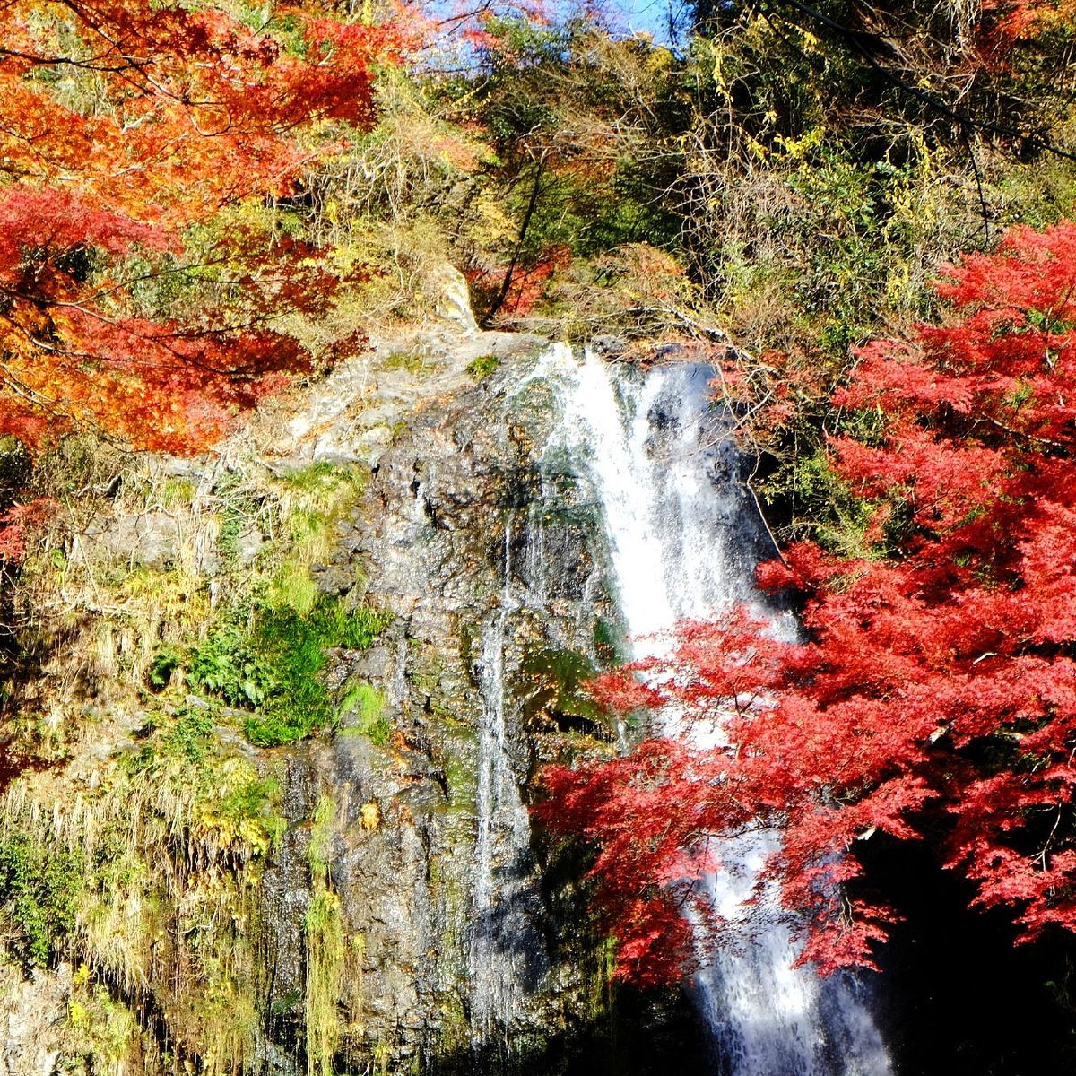 🏺 세라믹 파크 미노(세라믹쿠 파쿠 미노) 이미지 6